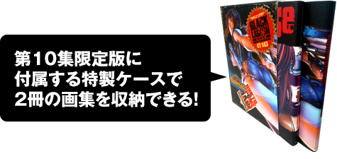 第10集限定版付属の特製ケースで2冊の画集が収納できる